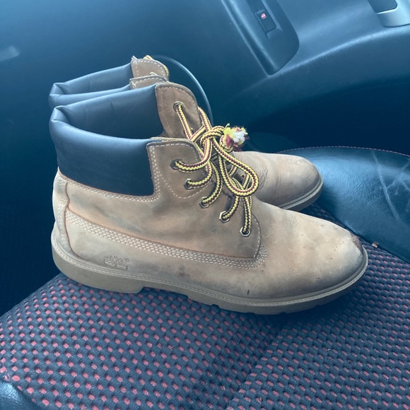 Timberlands - Picture 5 of 5